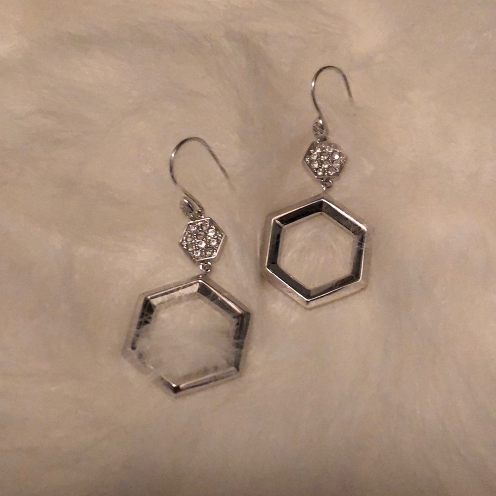 Earrings new never worn